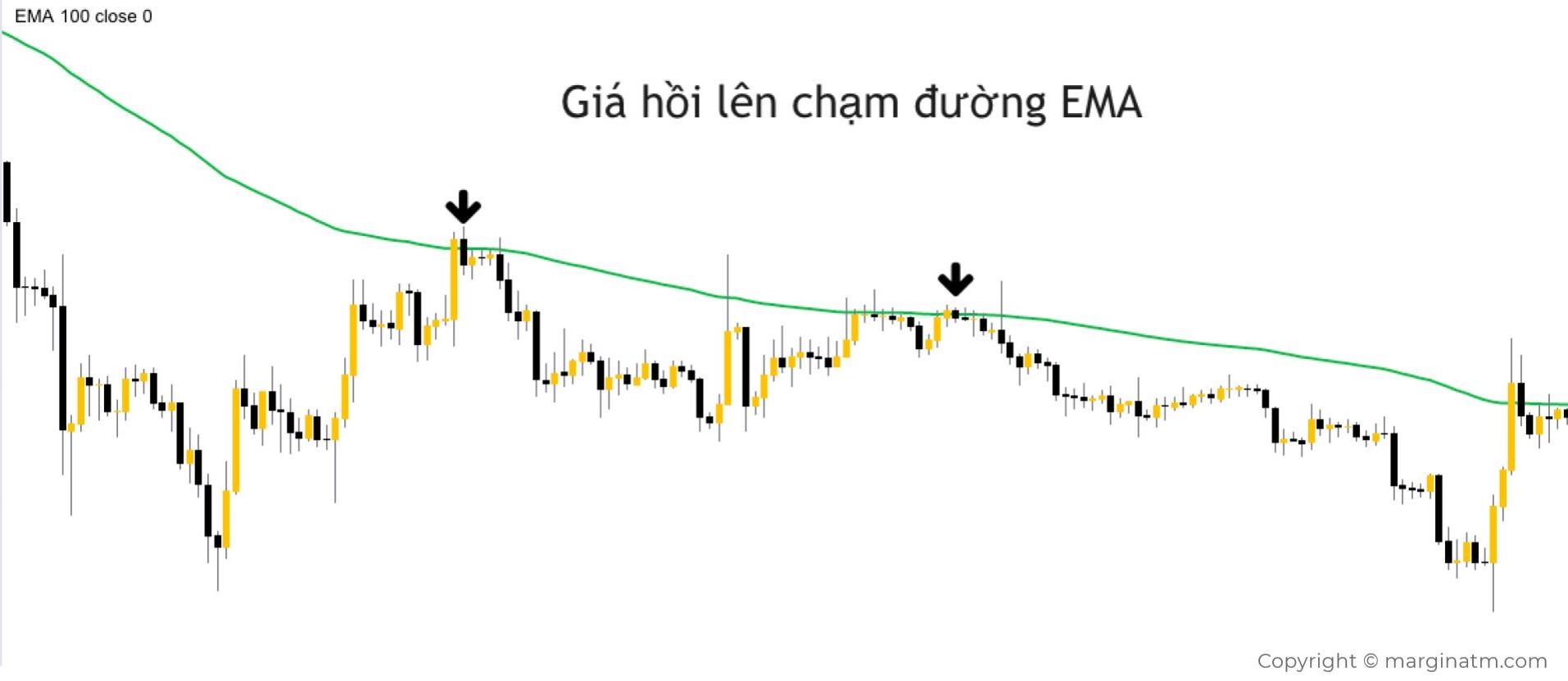 sell-voi-duong-ema